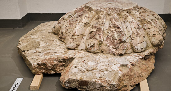 Kamenný artefakt ze zahrady Arnoldovy vily